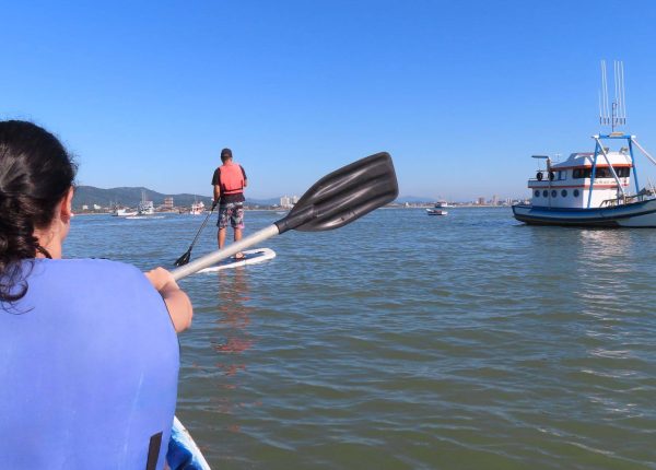 Santuário das Tartarugas (3)