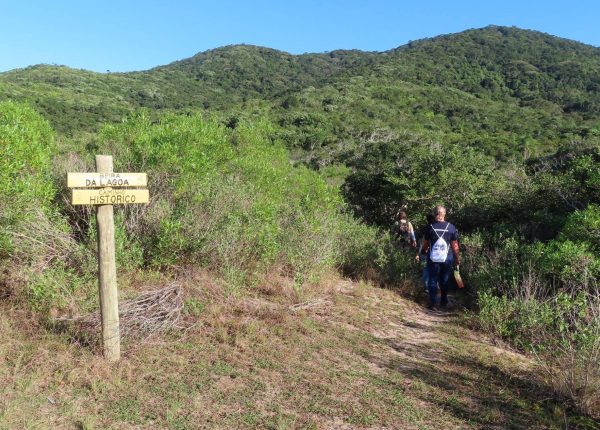 Trilha na Costeira de Zimbros (19)