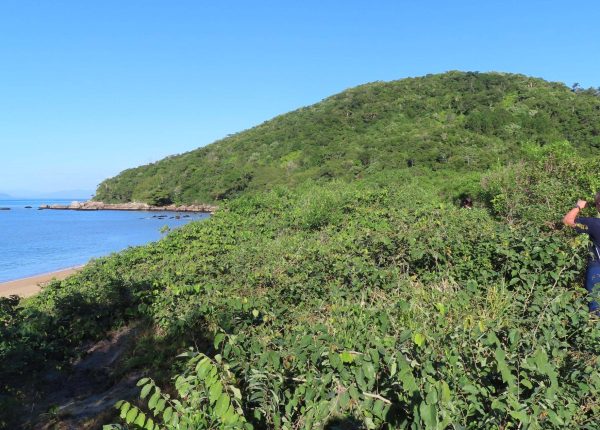 Trilha na Costeira de Zimbros (23)