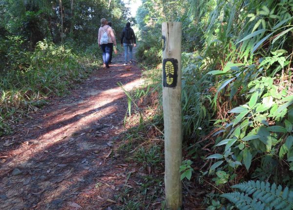 Trilha na Costeira de Zimbros (6)